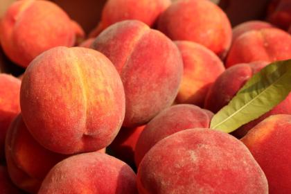 All about Peach, the company